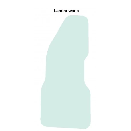 CAT Ajtóüveg 5327731